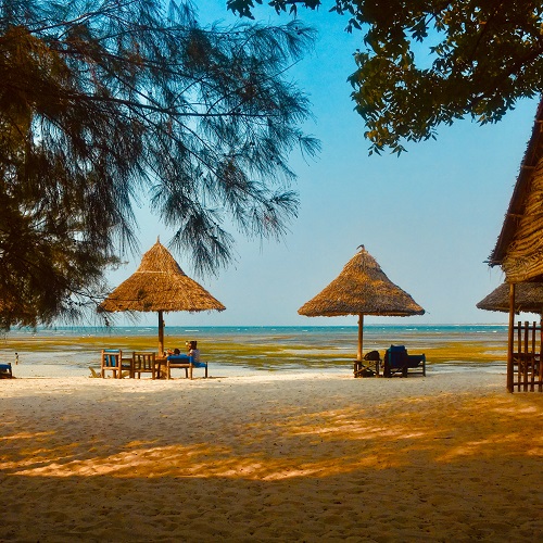Travel and Tours